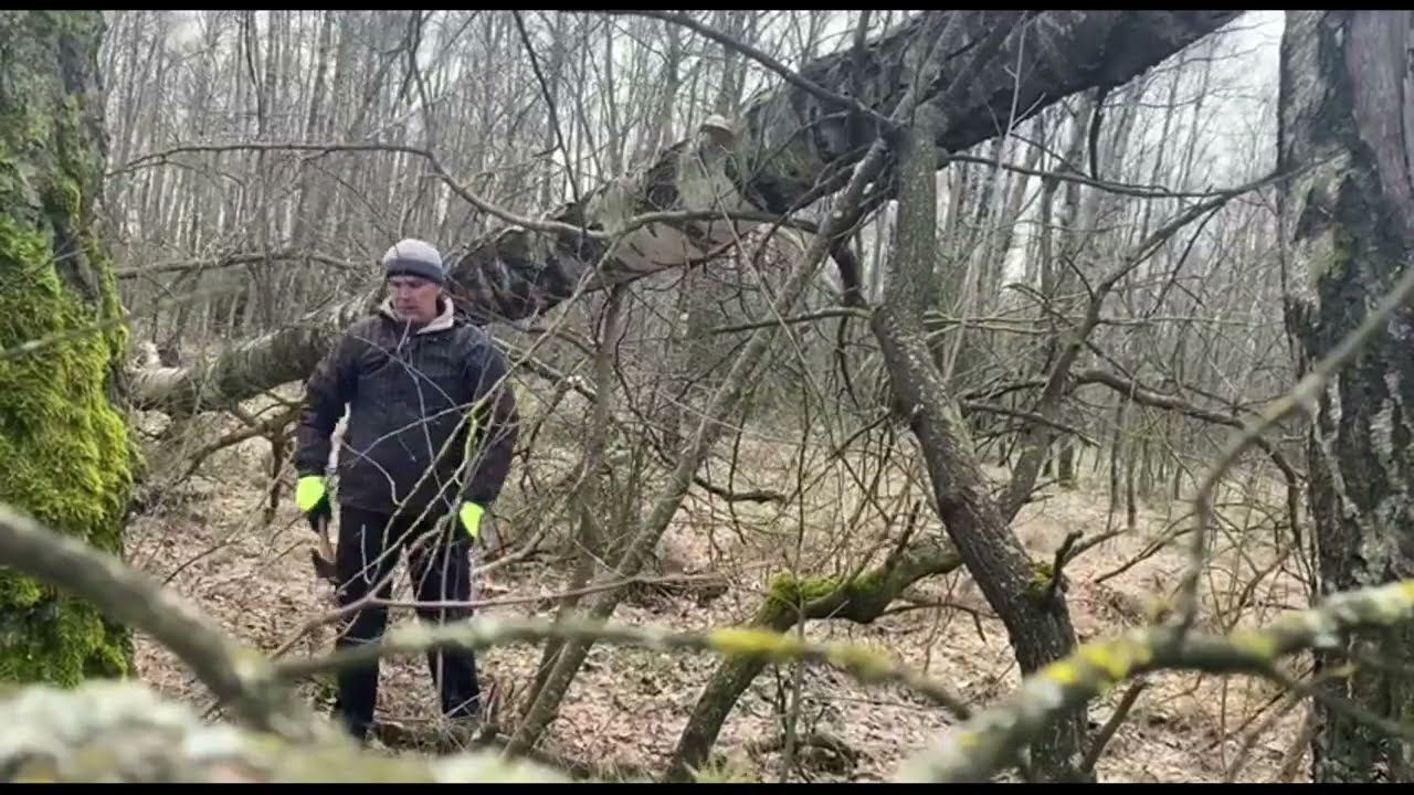 Гриб трутовик - лучшее топливо для дымаря смотреть онлайн
