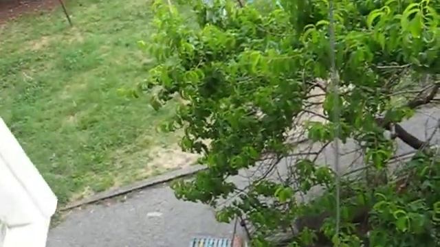 Наш любимый двор в Гаграх смотреть онлайн