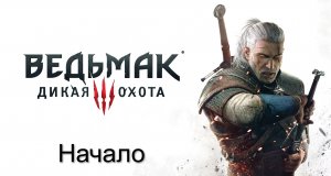 Ведьмак 3- Дикая Охота. Прохождение игры на PS4. Без комментариев.mp4