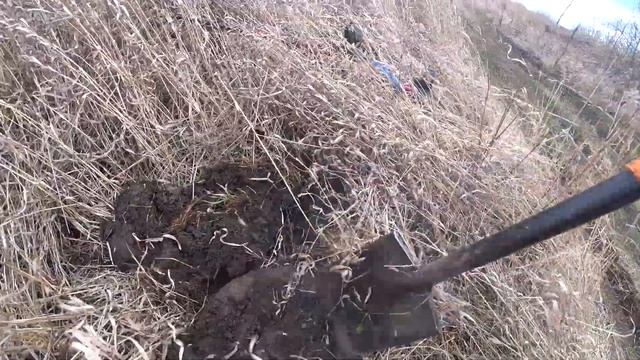 МЕТАЛЛОКОП С БАТЕЙ. ПРИЦЕП НАКОПАЛИ. смотреть онлайн