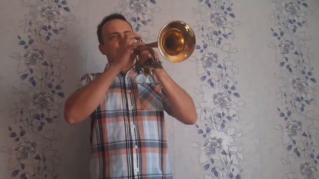 Сиреневый туман - соло на трубе смотреть онлайн