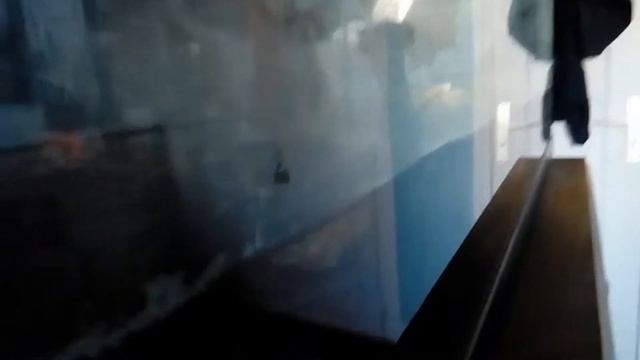 Je voie que les vidéo de ma tortue font beaucoup de vue. смотреть онлайн