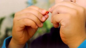 Монтессори детский сад