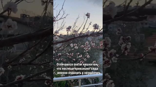Как выглядят и сколько стоят дачи в Турции смотреть онлайн