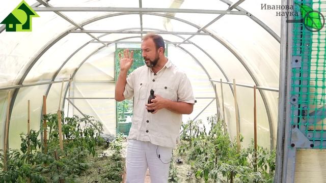 ЗА ТРИ РУБЛЯ ОБРАБОТАЛ ТЕПЛИЦУ с огурцами и томатами! ЗАБУДЬТЕ о ФИТОФТОРЕ и ЖЕЛТИЗНЕ на ЛИСТЬЯХ. смотреть онлайн