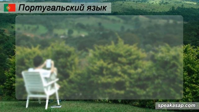 Урок 2. Португальский язык за 7 уроков для начинающих. Глагол ter. Бразильский вариант. Шипилова. смотреть онлайн