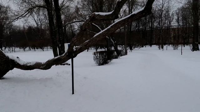 ПАРК ЕКАТЕРИНГОФ в Санкт-Петербурге. 0+ смотреть онлайн
