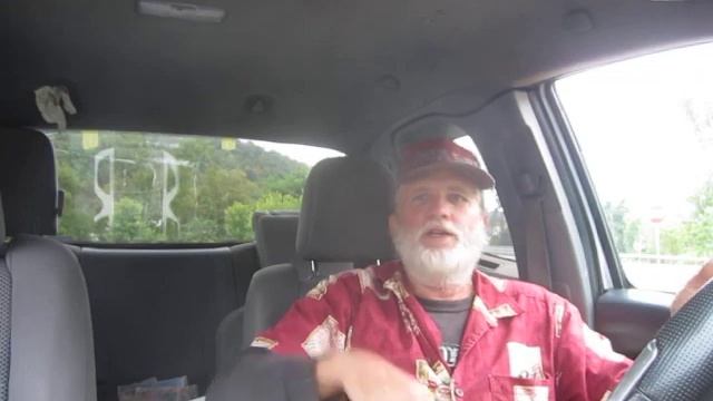 Screaming Pigs, Like Most Things, Are Not Always What They Seem смотреть онлайн