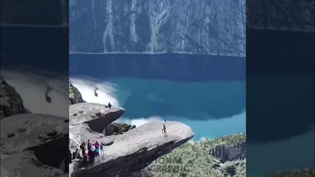 #красота #животные #природа смотреть онлайн