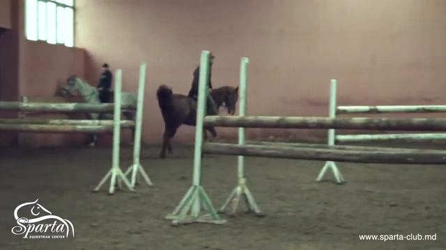 Equestrian Club Sparta Plameneyushyi 02 14 смотреть онлайн