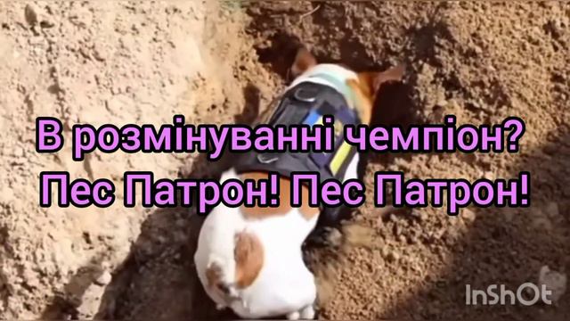 Текст пісні пес Патрон смотреть онлайн