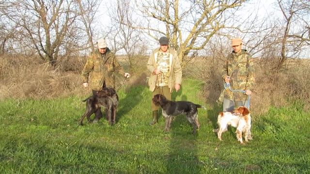 КРЫМ, ДРАТХААРЫ, БРЕТОНЫ, ФОТО ДРУЗЕЙ )) смотреть онлайн