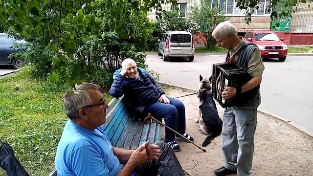 #гармонь#первый раз взял гармонь в руки смотреть онлайн