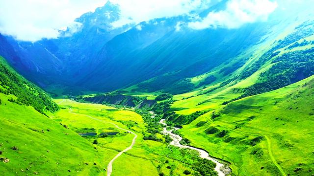 Лучший Визуальный шедевр 12K HDR 120fps Dolby Vision