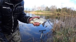 Не пропусти Жор леща в Марте. Лещ от А до Я. Как Где и на Что ловить леща.