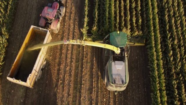 4Kᵁᴴᴰ Harvest 2023: Maize cutting with a John Deere JD 9800i forage harvester in Friston, Suffolk. смотреть онлайн