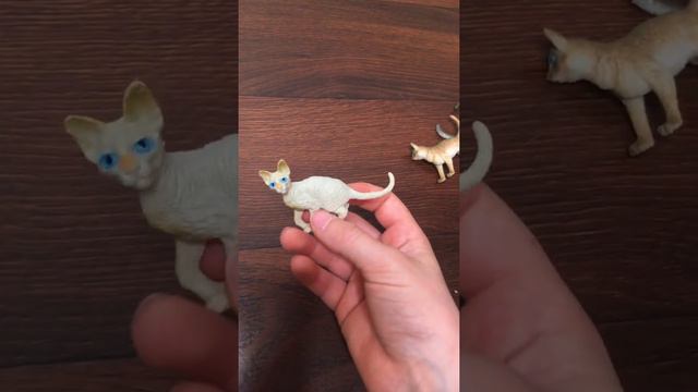 Как зовут моих кошек смотреть онлайн