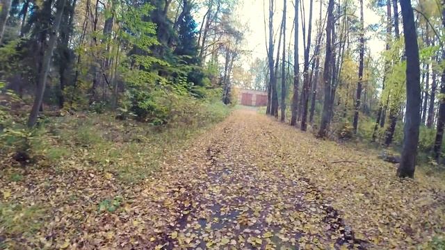 Заброшенный пионерлагерь "Ласточка". Смолячково, Ленобласть смотреть онлайн