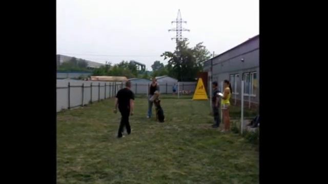 Винипух охрана, защита