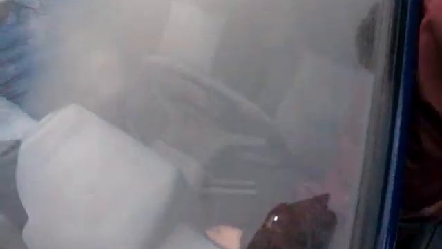 Славута. Ремонт холостого хода. смотреть онлайн