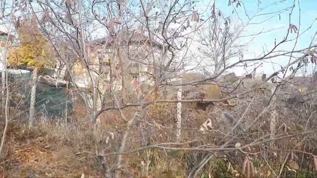 Фундук в декабре. Трапезунд , Керасунд и Пурпурный. смотреть онлайн