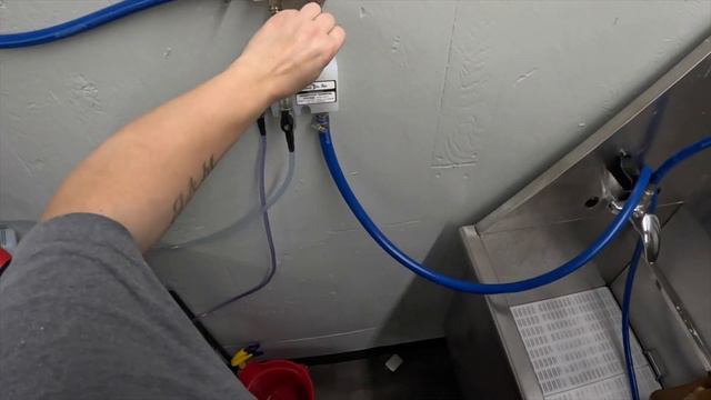 Basset Hound Groom смотреть онлайн