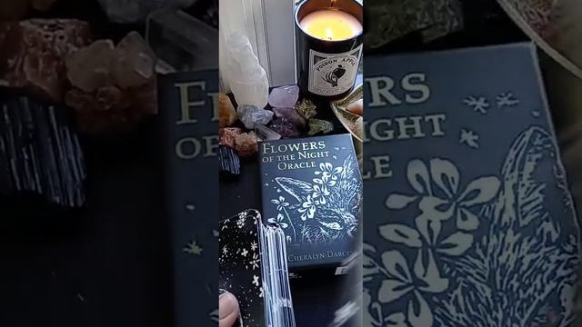 Cancer - Flowers of the Night Oracle смотреть онлайн