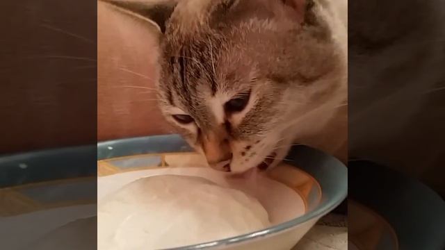 Жизнь удалась смотреть онлайн