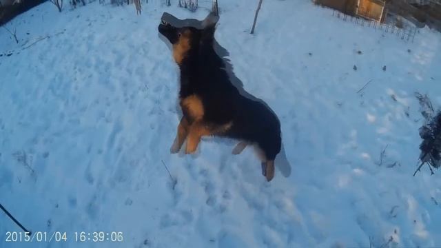 Тестируем экшн камеру SJ4000