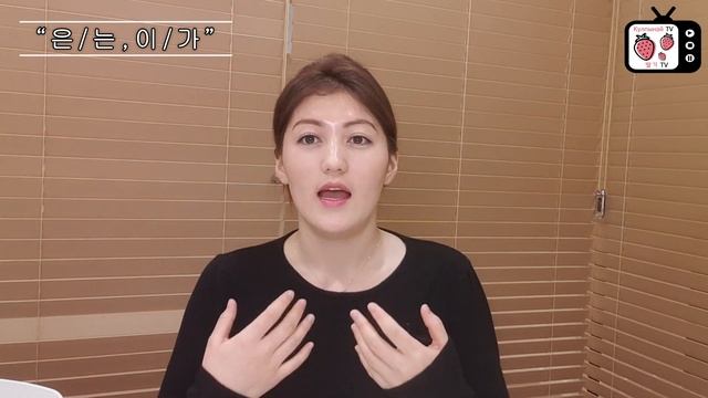 Корей тілін үйрену | Корей тілінде 은/는, 이/가 грамматмкасының айырмашылығы | Корейский язык | 한국어 смотреть онлайн