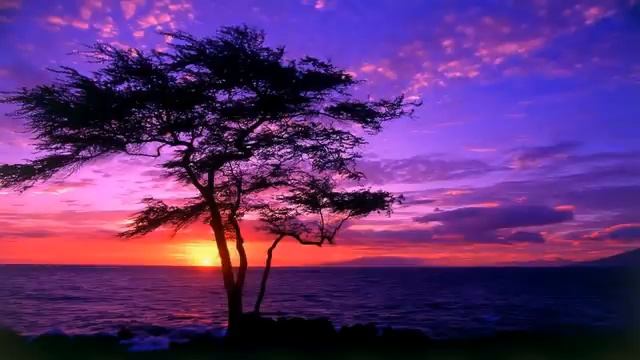 ENIGMATIC MUSIC MIX 49