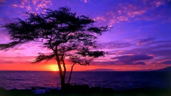 ENIGMATIC MUSIC MIX 49