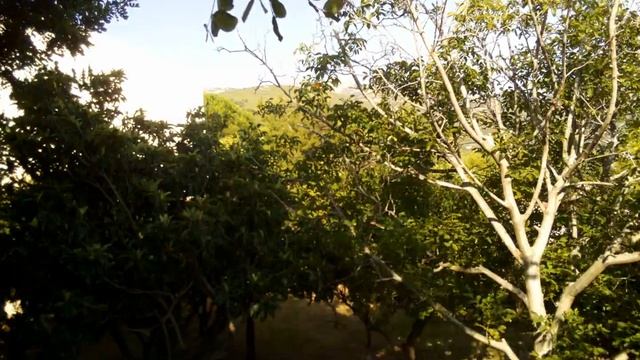 Nea Makri Timelapse (4.5 months) смотреть онлайн