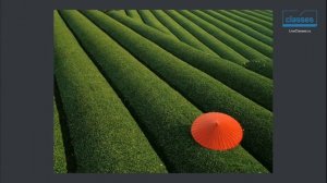 Цветовые контрасты. Цвет в фотографии. Андрей Зейгарник