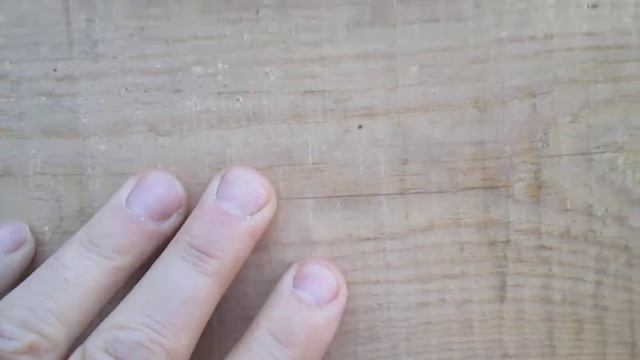 Пропитка для дерева Просепт, применяемая для наружных работ