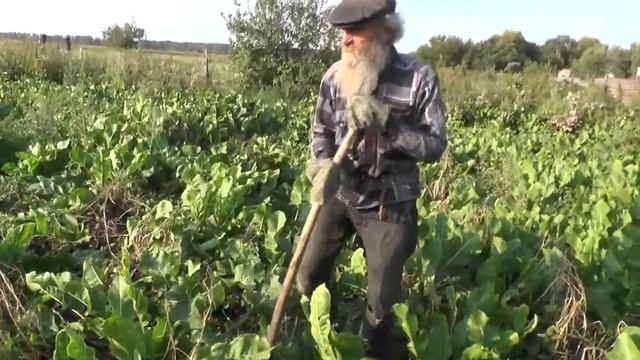 Пр.24:30 Проходил я мимо поля человека ленивого, скудоумного. 06.09.2017 смотреть онлайн