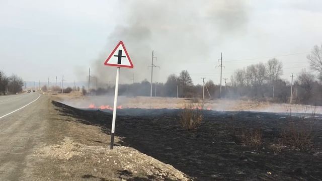 Шедок Мостовский район пал сухой растительности смотреть онлайн
