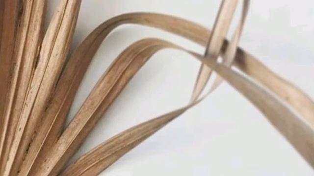 Медитация-визуализация «Избавление от стресса» | Исцеление тревоги и стресса смотреть онлайн