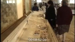 1988 год. Универсам в Москве.