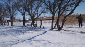 Работа ягдтерьера по зайцу