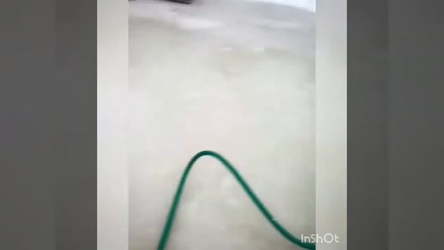 Заливка катка своими руками смотреть онлайн