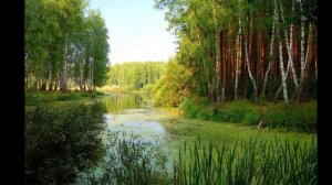 Николай Заболоцкий; «Вечер на Оке»