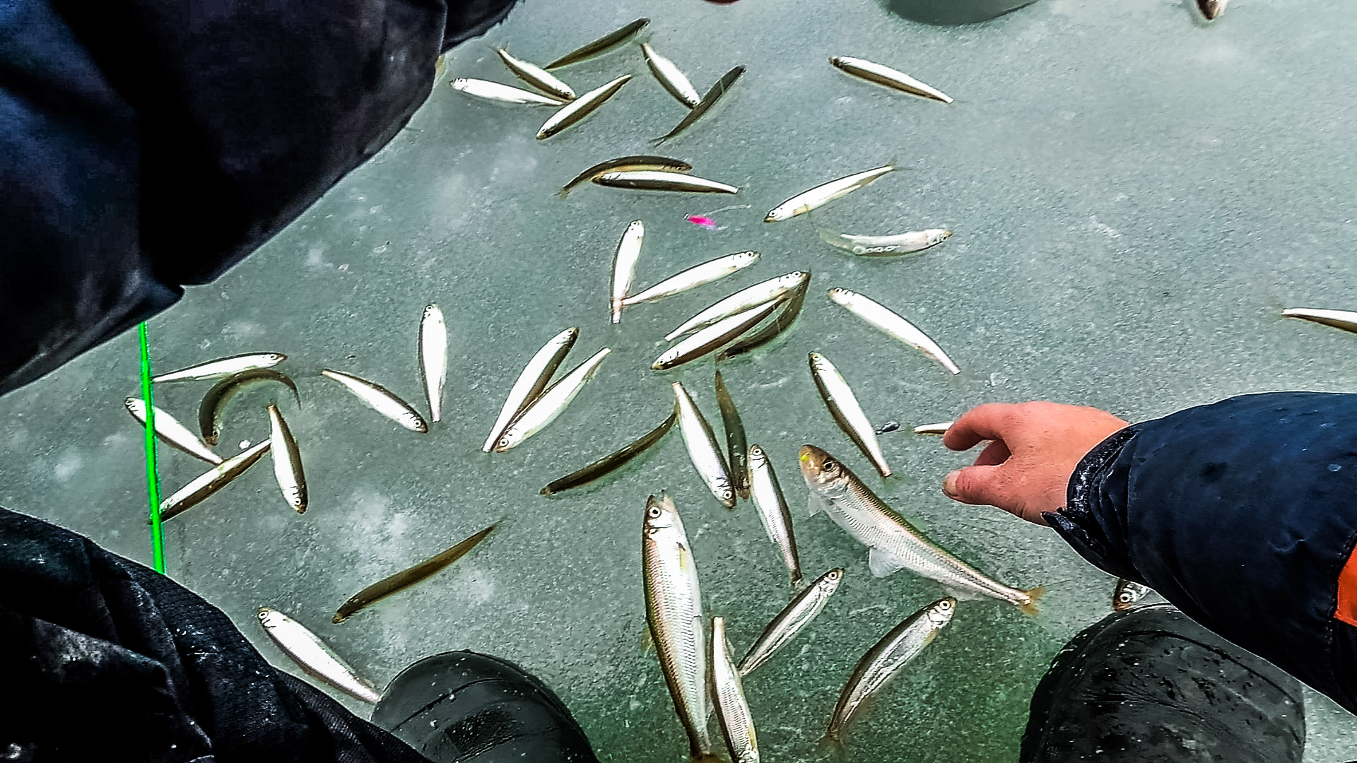 Я АКУЕЛ ОТ ТАКОЙ РЫБАЛКИ / РЫБАЛКА НА БОРОДЫ смотреть онлайн