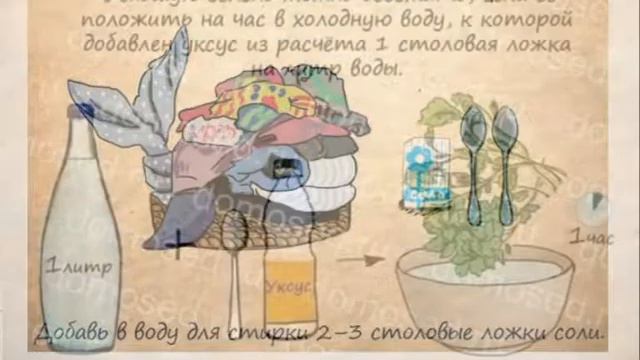 Полезные советы