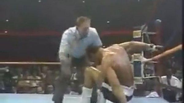 George Foreman Highlight