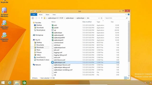 Oracle SQL Developer Tips : How to change the language смотреть онлайн