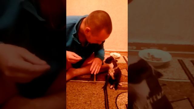 1,5 месяца щенку,что делаю не правильно.? смотреть онлайн