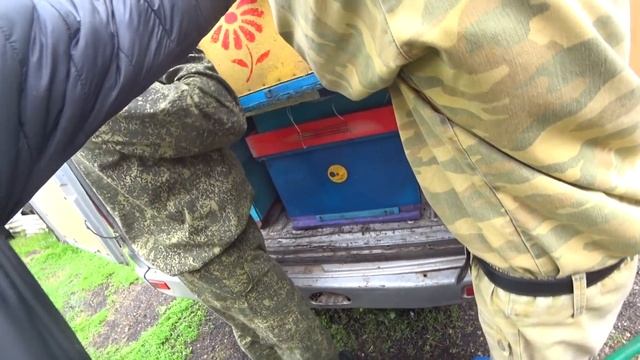 ВЫВОЗИМ ПЧЕЛОСЕМЬИ НА ТОЧЁК №2, ИСПОЛЬЗУЕМ АВТОПЛАТФОРМУ И СОБОЛЬ. 2 Часть. смотреть онлайн