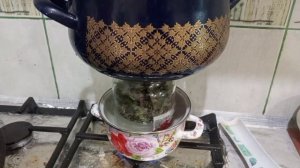 Быстрая ферментация зеленого недозрелого верхнего листа табака . Эксперемент