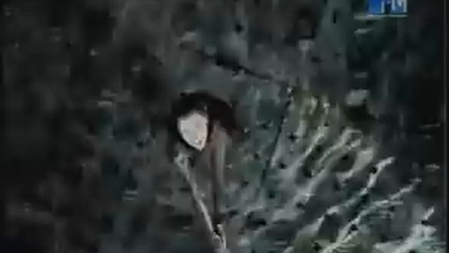 Ground Beat - Чёрная вода смотреть онлайн